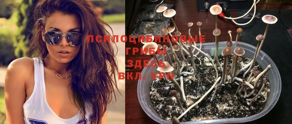 прущая мука Горняк