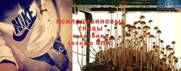 MESCALINE Горно-Алтайск