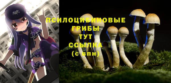 синтетический гашиш Горнозаводск